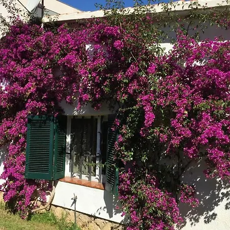 Holiday home La Casa Del Bosc, Playa Y Golf -